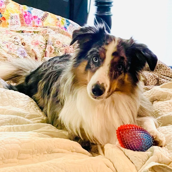 RePurseonality!! Love it, live it and don’t forget to buy it…one of a kinda gal! - Picture 2 of 3